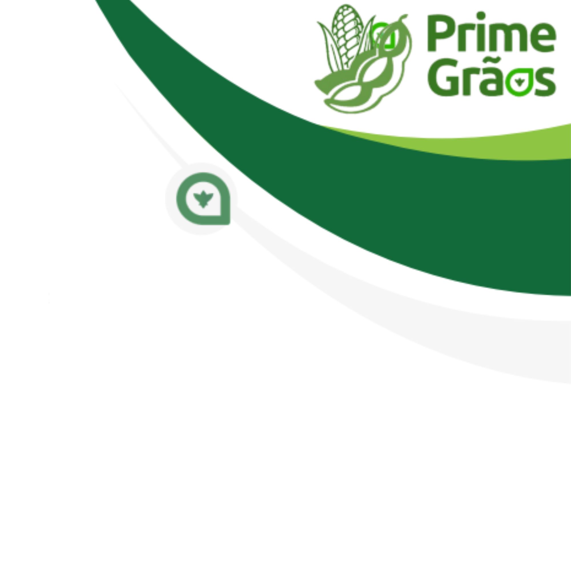 Prime Graos